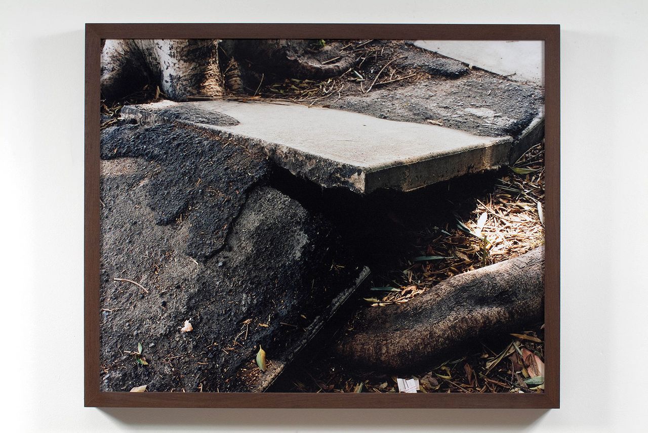 2 Ochoa.jpg
