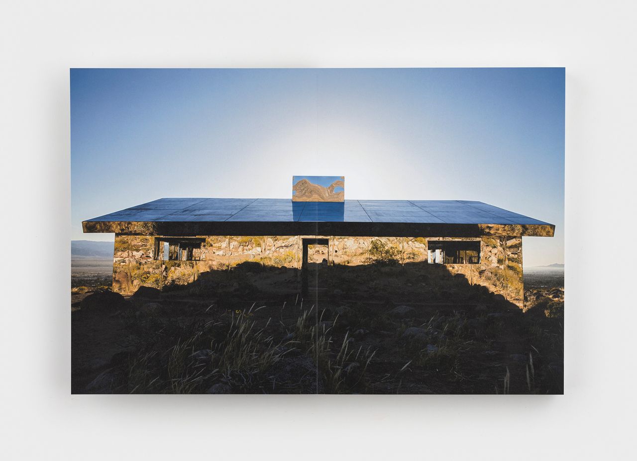 Doug Aitken 2.jpg