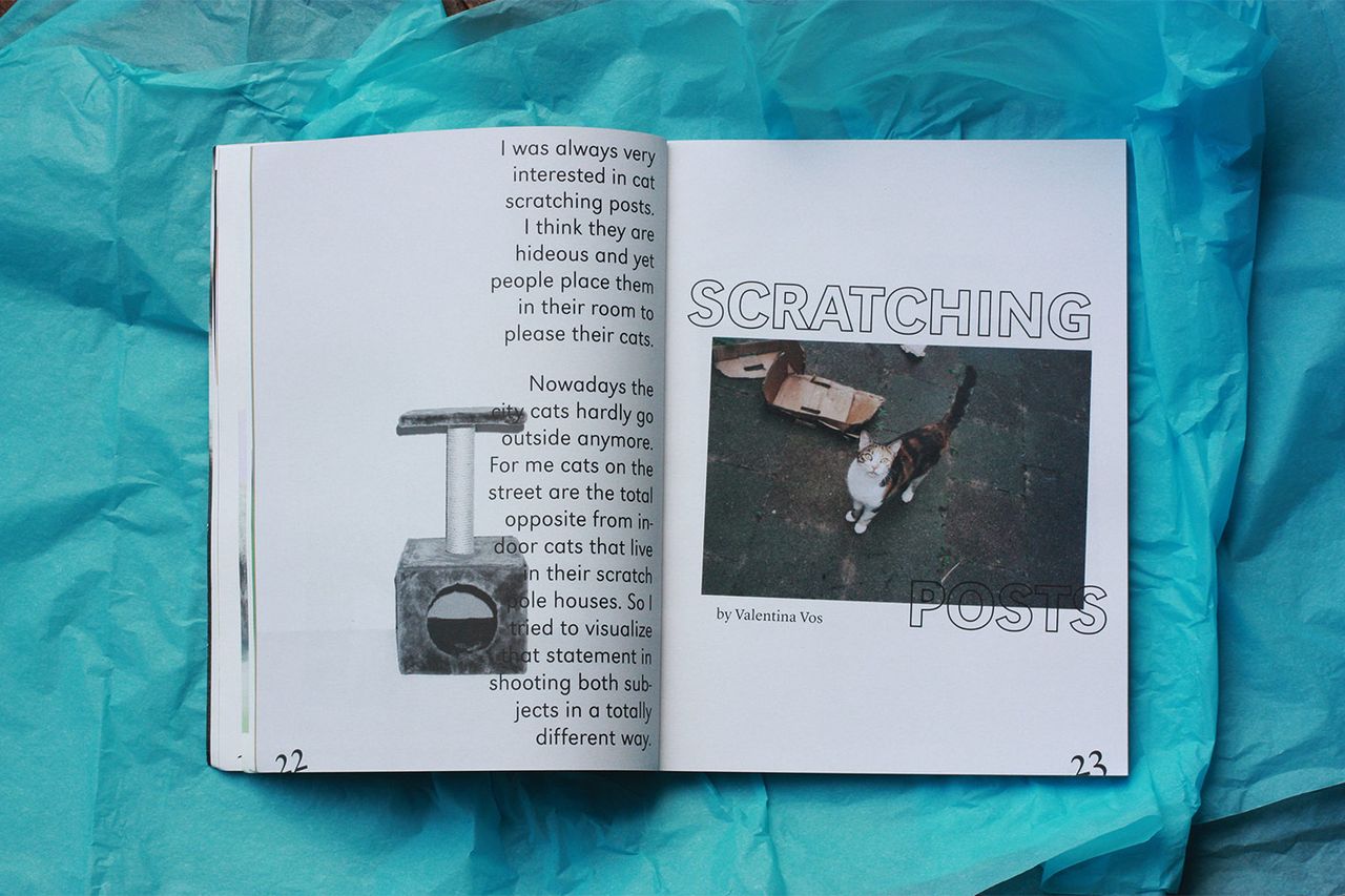 Agapornis Vol3 5.jpg