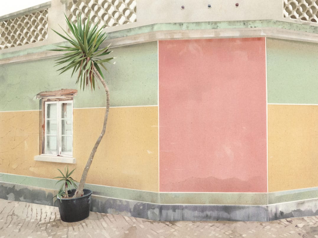 Street Palm.jpg