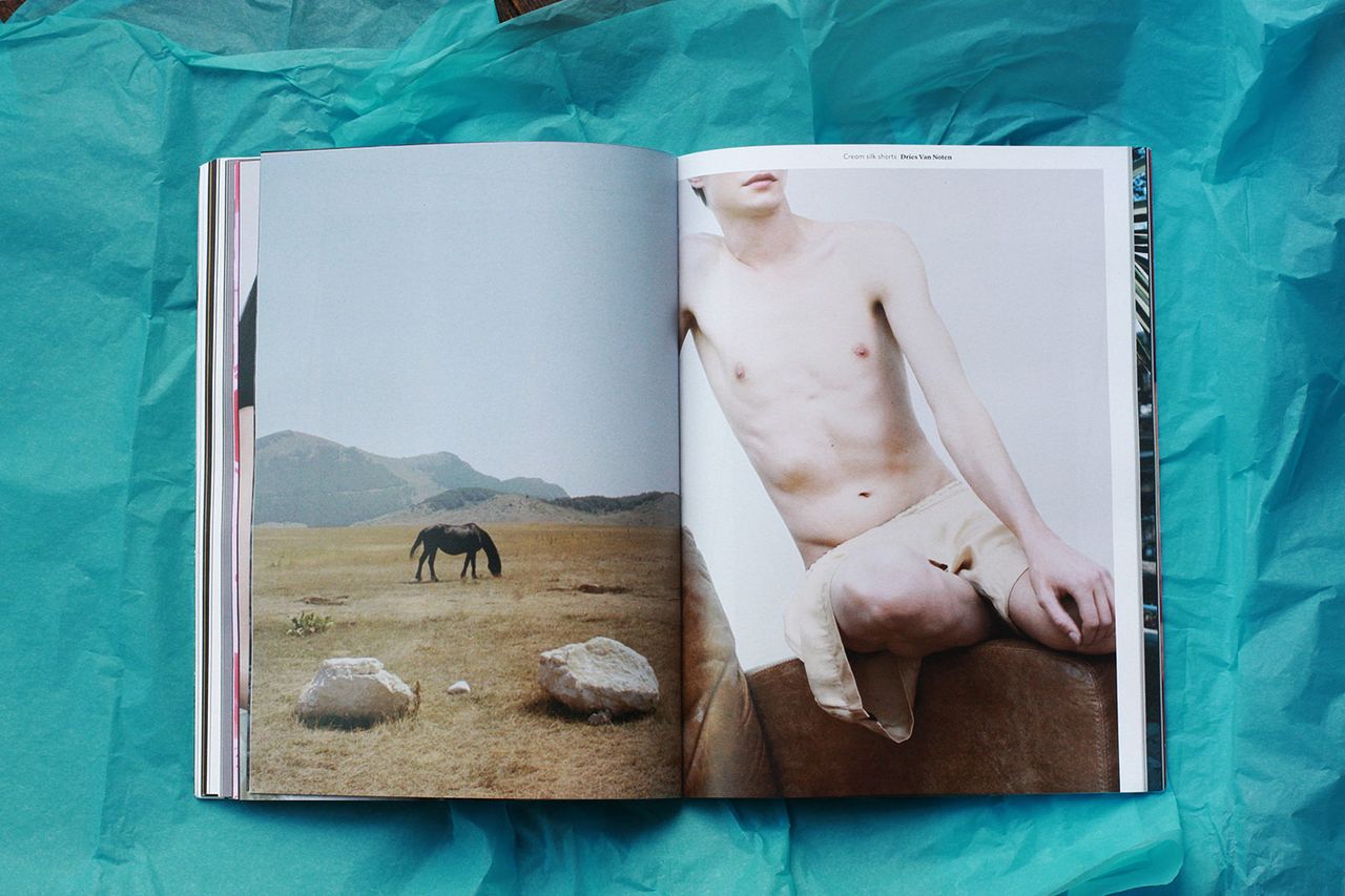 Agapornis Vol3 13.jpg