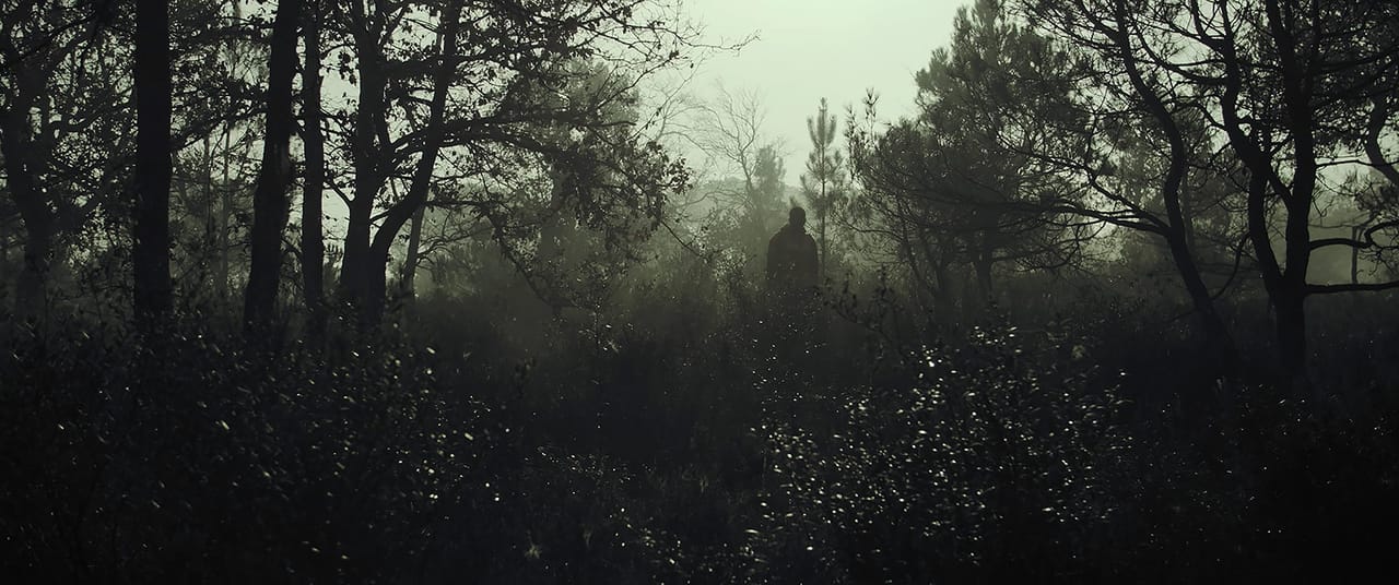 Sotobosque Still 2.jpg