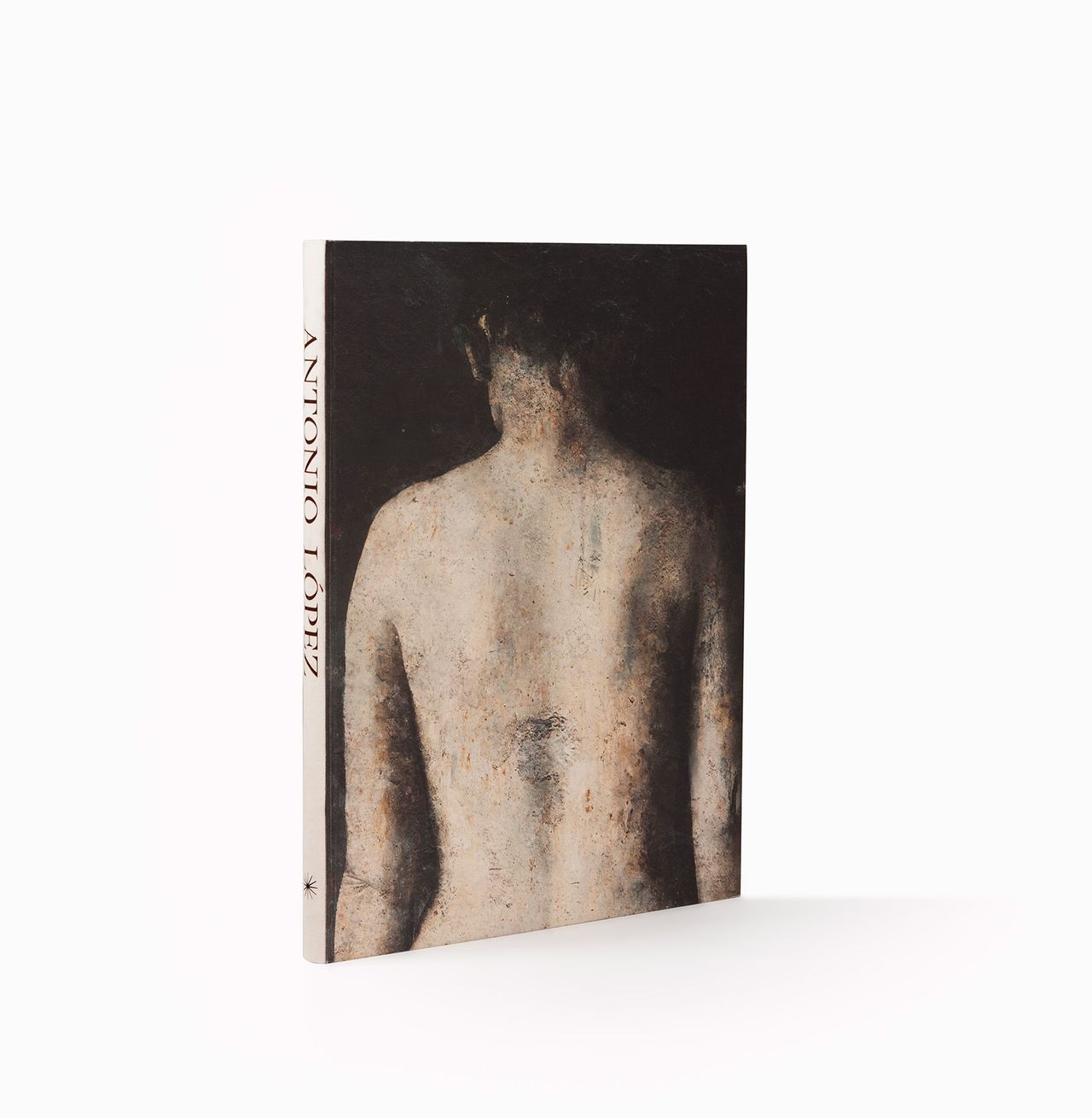 Al Libro Delante.jpg