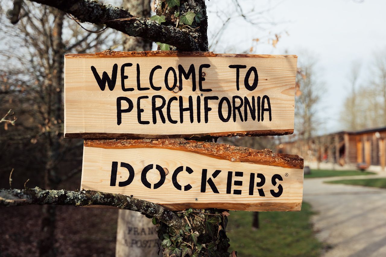 Dockers Live Original 9.jpg