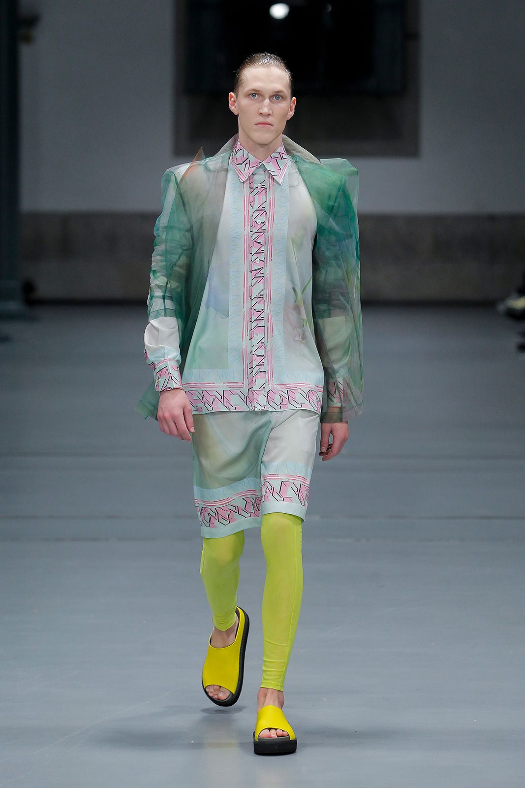 David Tlale 2542049.jpg