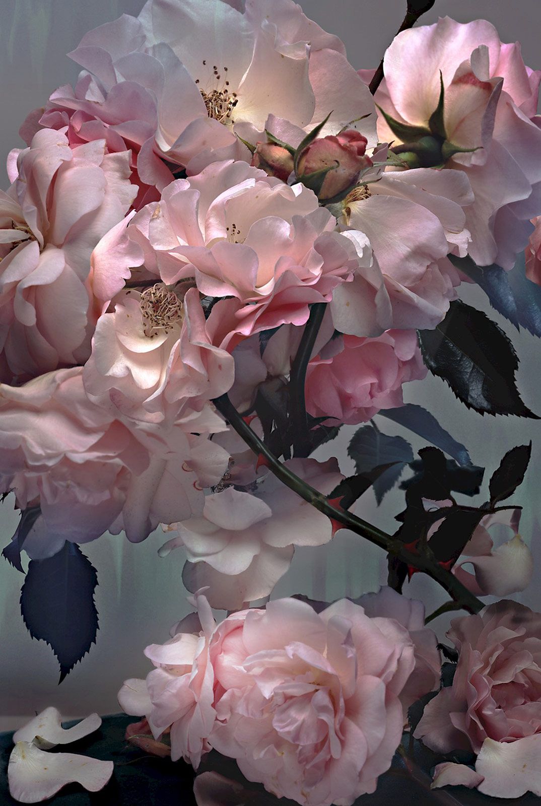 Nick Knight