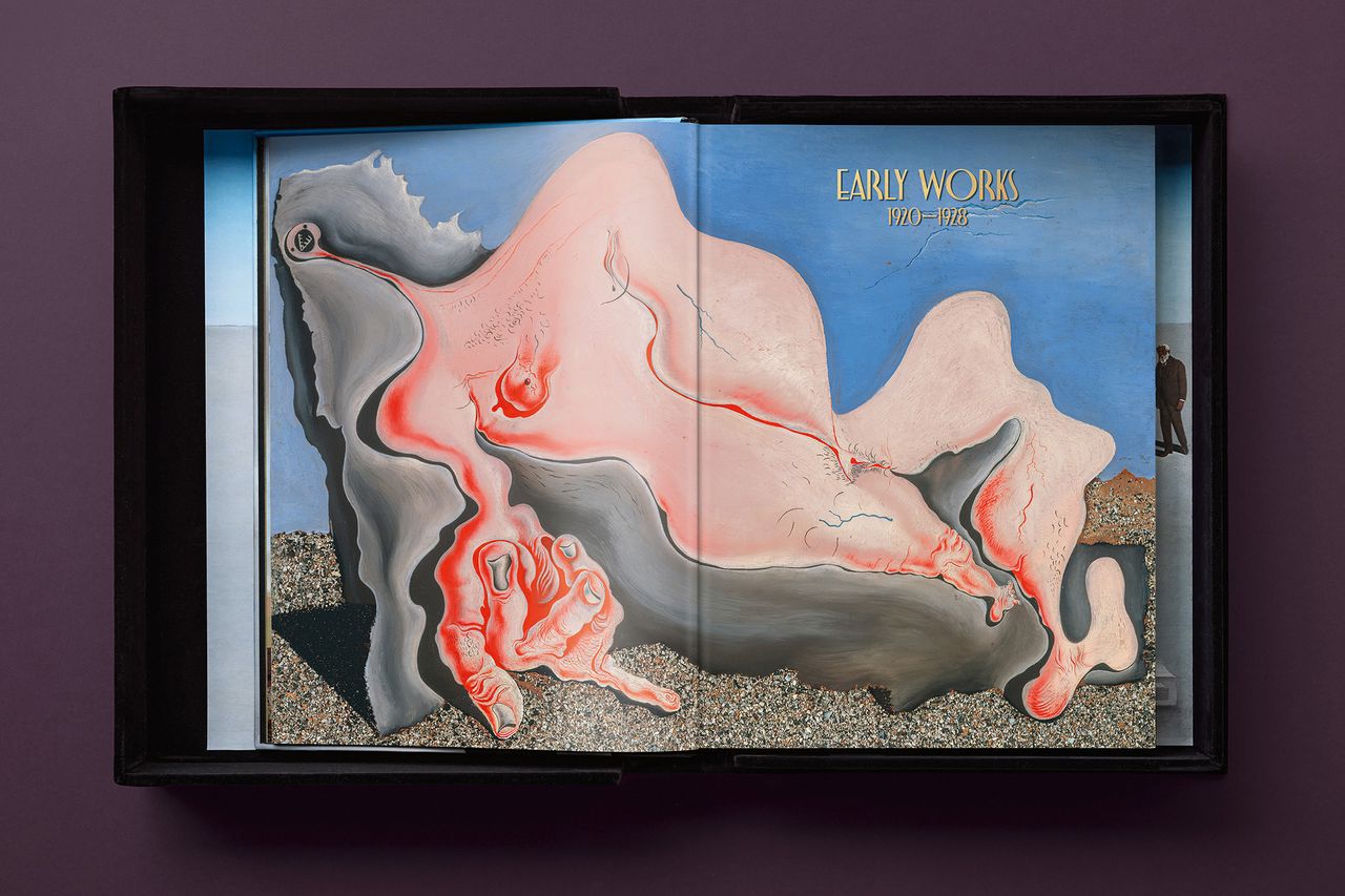 DALI_BABY_SUMO_CE_INT_BOXOPEN001-010-011-X_01147.jpg