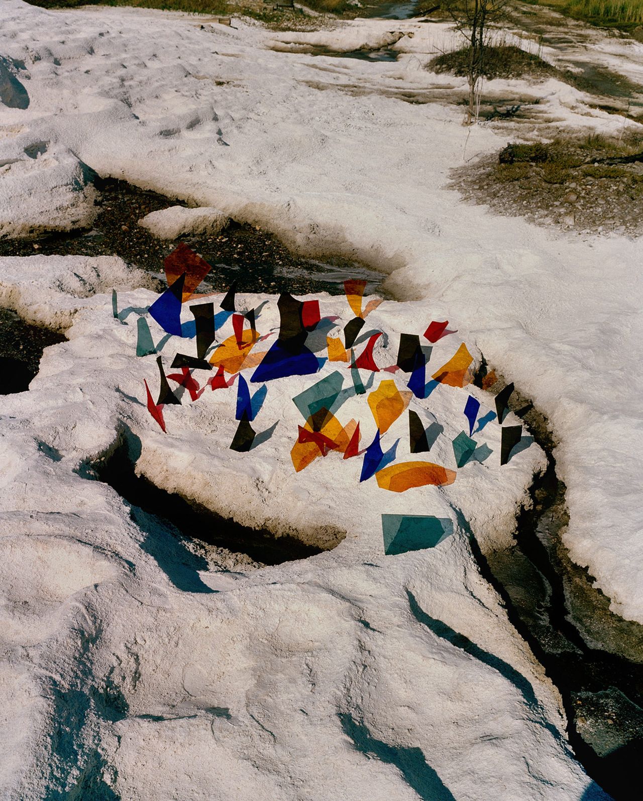 Synchrodogs Slightly Altered 10 Colored Glass.jpg