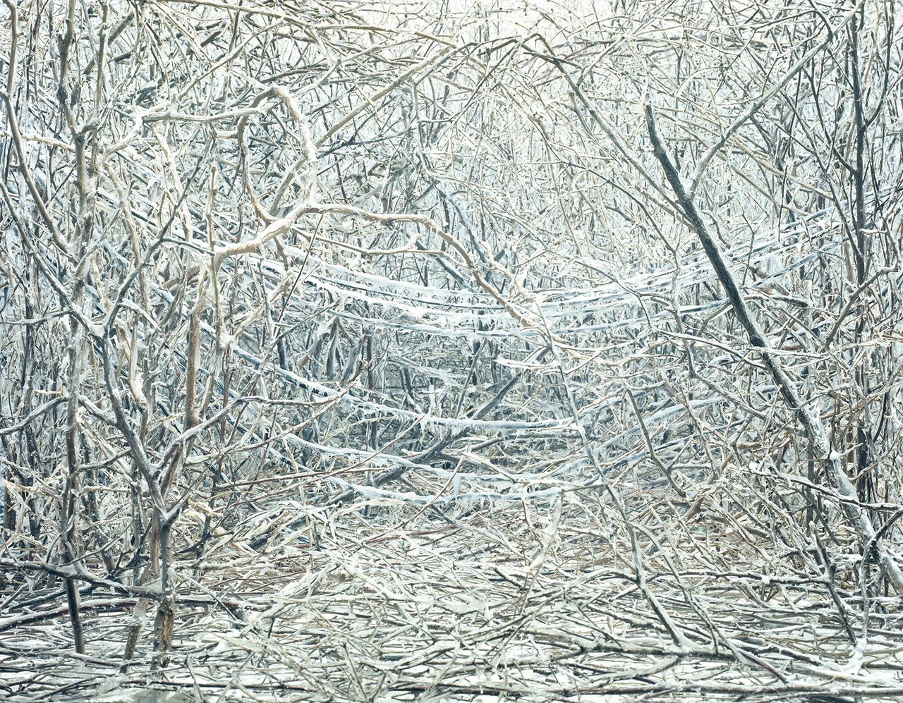 The  Quiet of Dissolution Ice Storm Sm.jpg