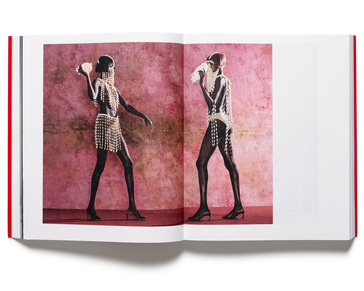 Acne Paper 11.jpg