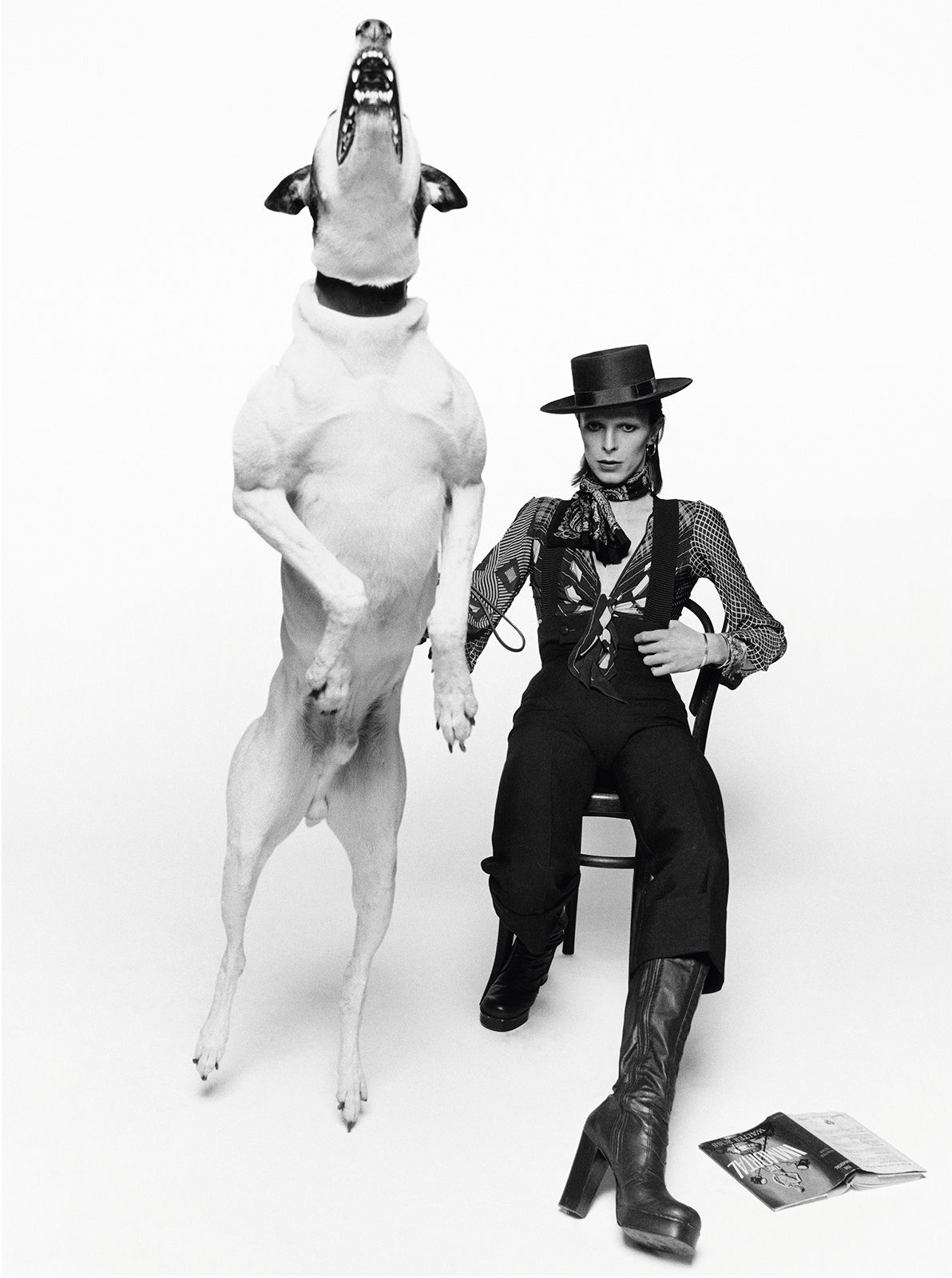 Terry O Neill  Fotografiska  5.jpg