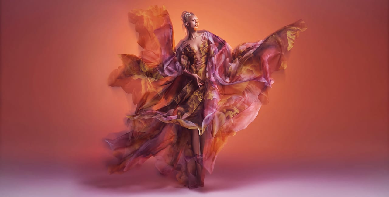 Iris_van_herpen_exhibit_2.jpeg