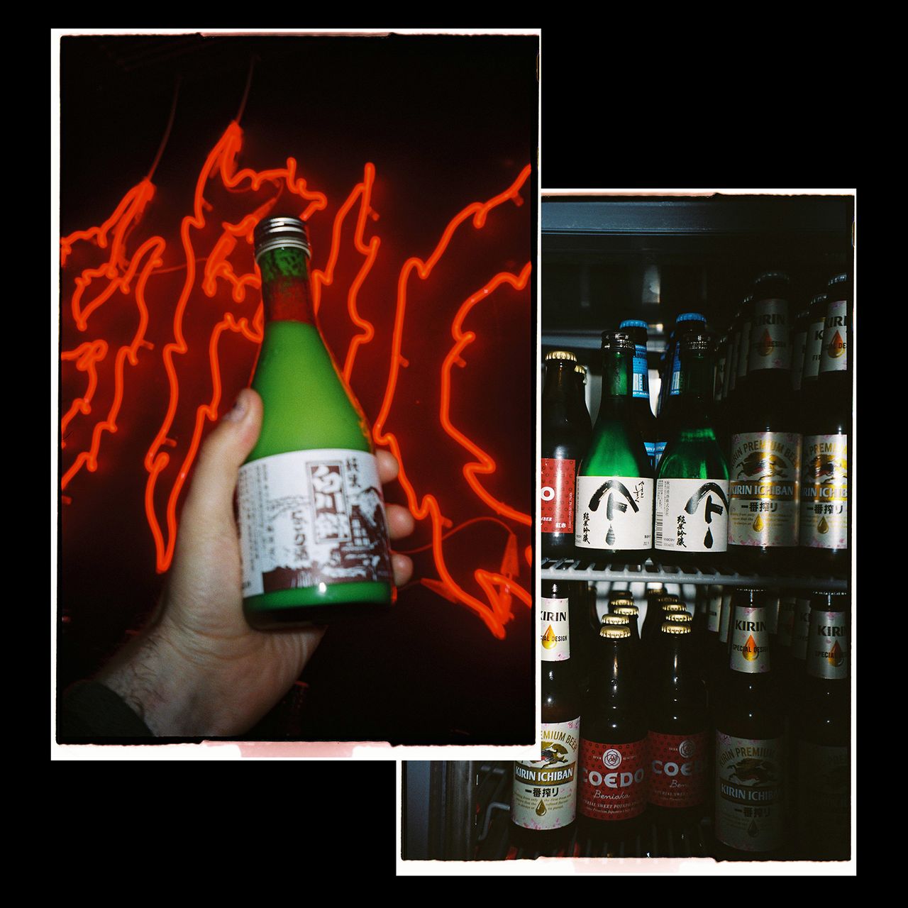 Spicy Volx 3.jpg