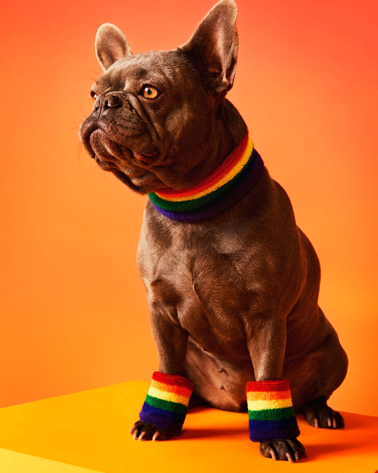 04 Lefties Pride Is Love Copia.jpg