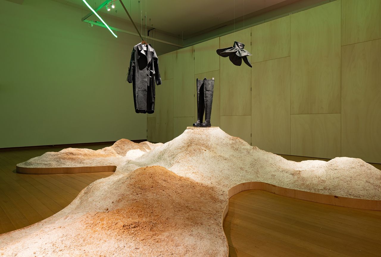 Living Mycelium Dunes Installation 01 Y Yx Reishi.jpg
