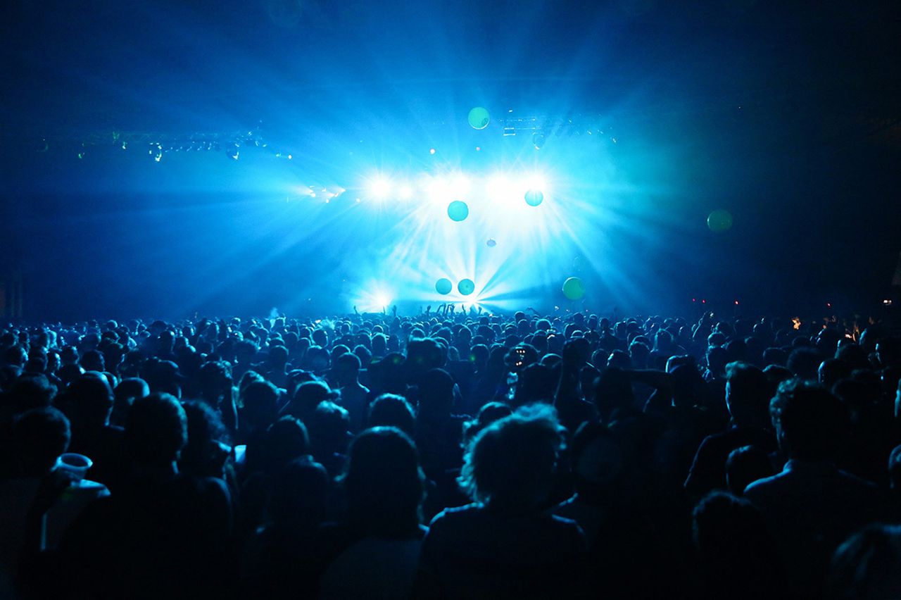 Fatboy Slim Sonar Club Sonar2016 Leafhopper 006.jpg