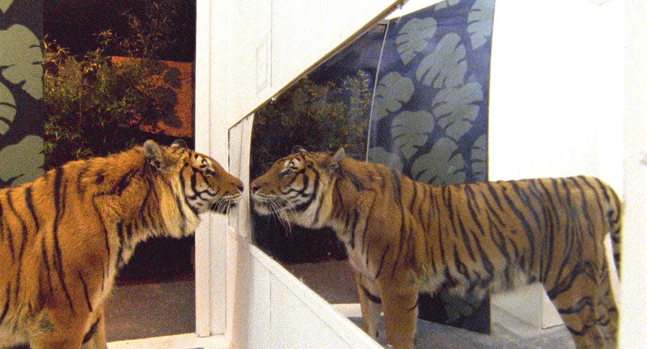 Sleeping With a Tiger Exhibition Metalmagazine 8.jpg