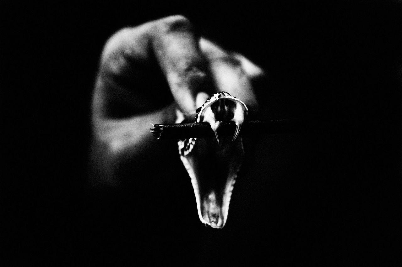 Arnau Blanch Metalmagazine 16.jpg