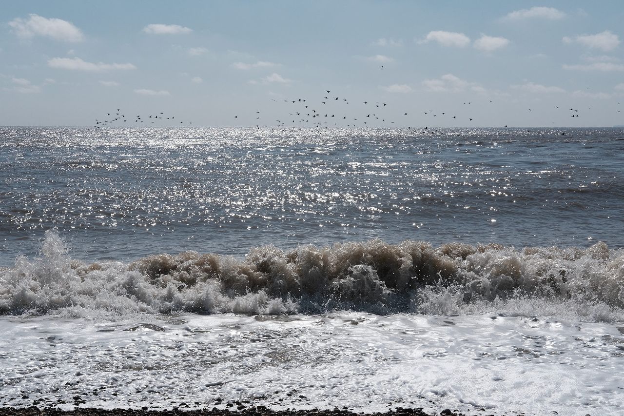 Afterness Landscape 168.jpg