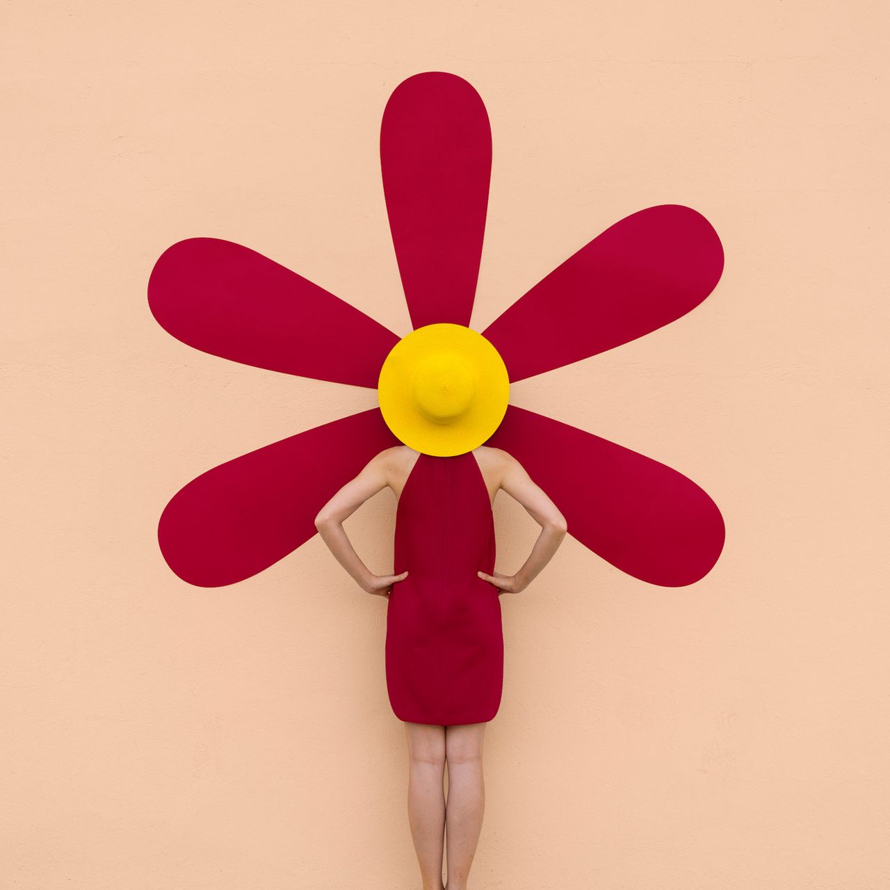 1500 Jpg Dr Cuerda Anniset Flower Power.jpg