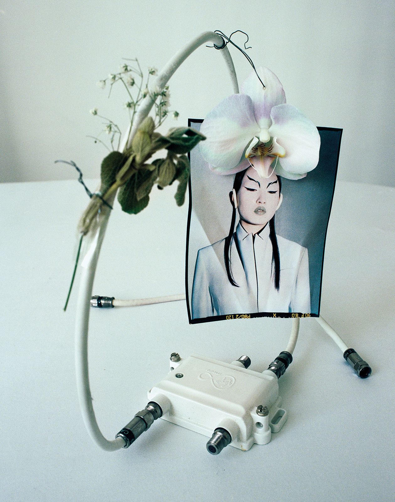 Teddy Iborra Metal Loewe Metalmagazine 13.jpg