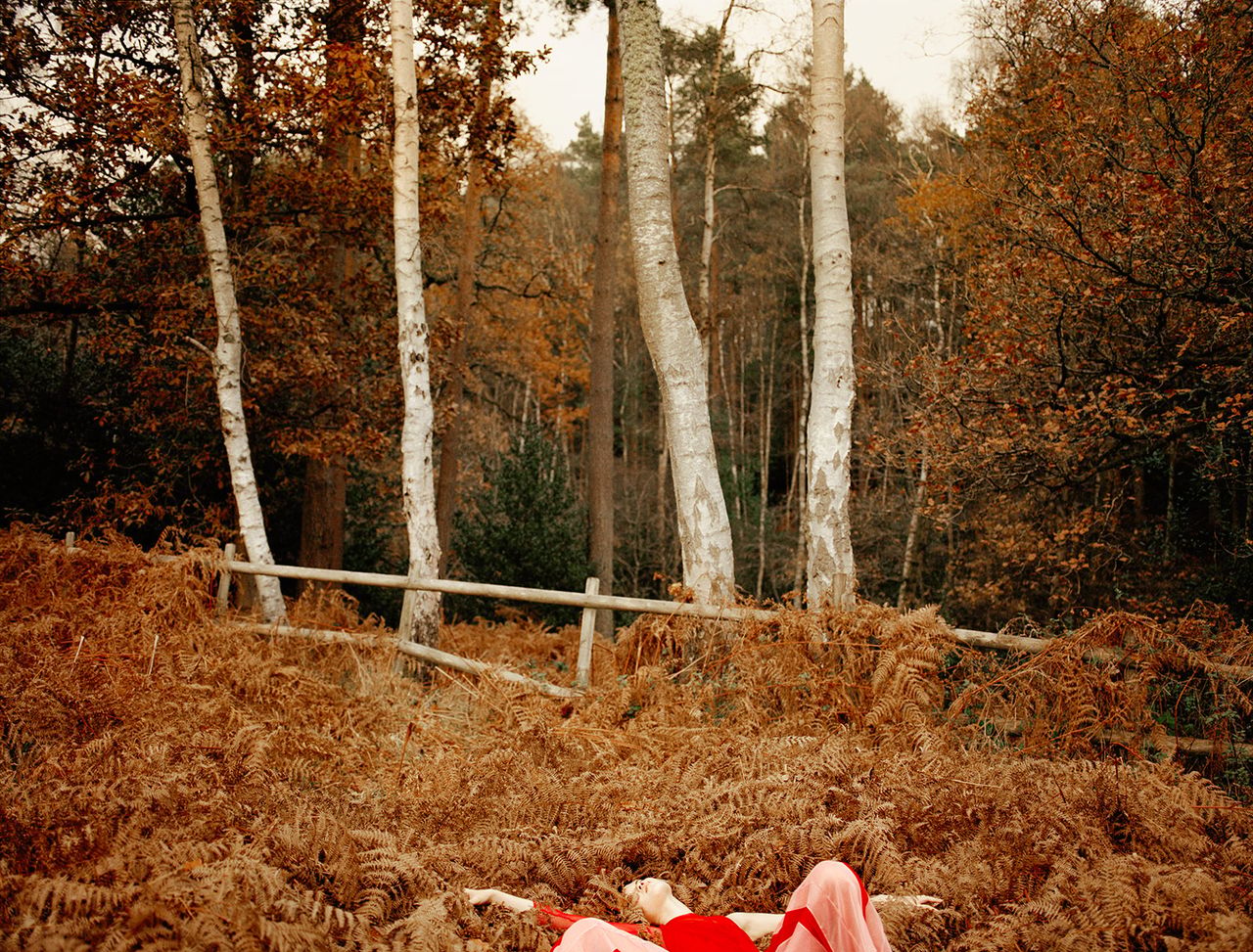Steph Wilson 7.jpg