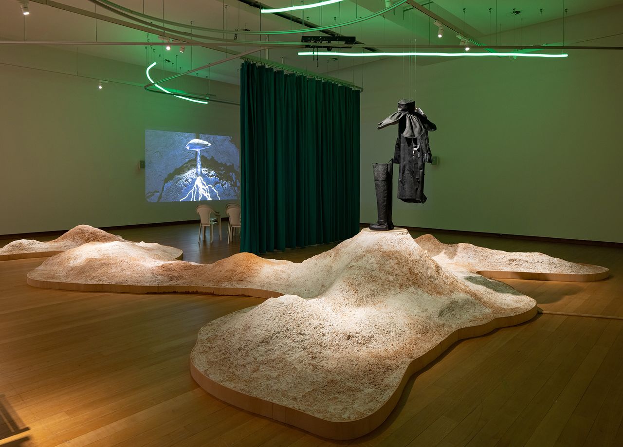 Living Mycelium Dunes Installation 07 Y Yx Reishi (1).jpg
