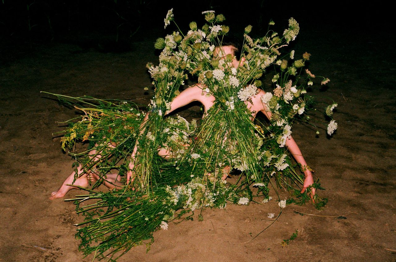 Synchrodogs Slightly Altered 24.jpg