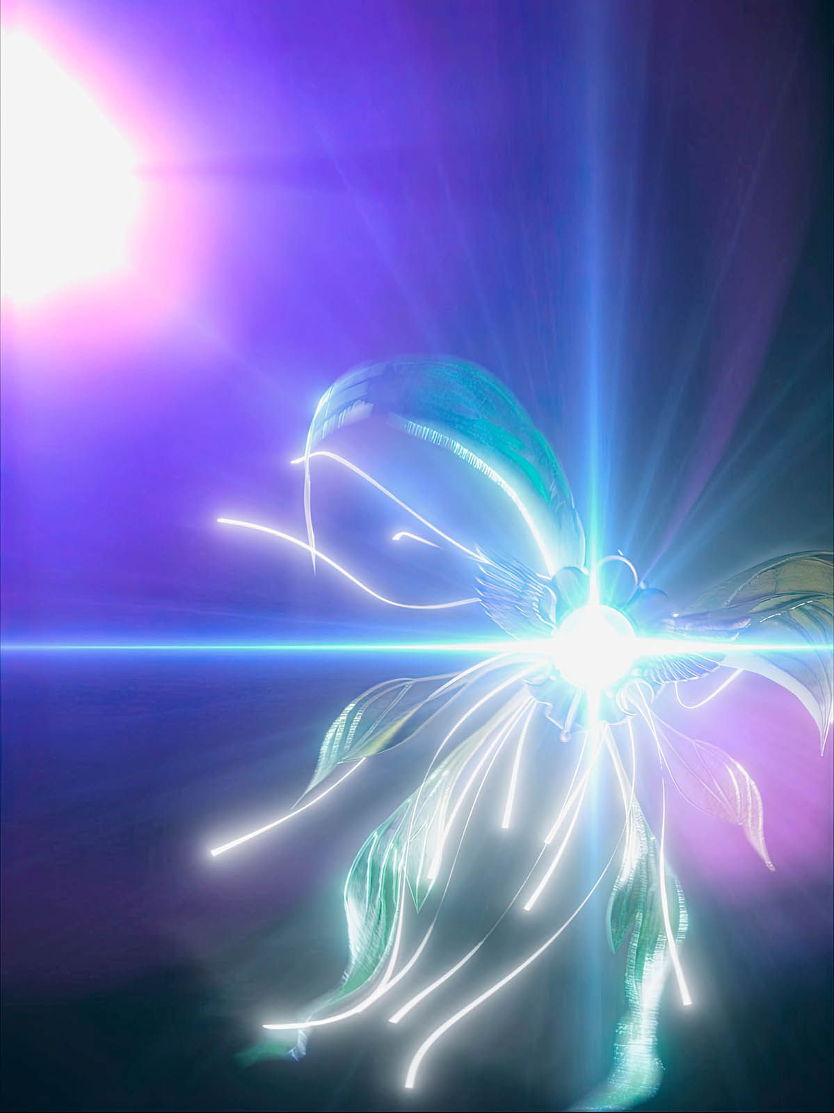 Parafeno 5.jpg