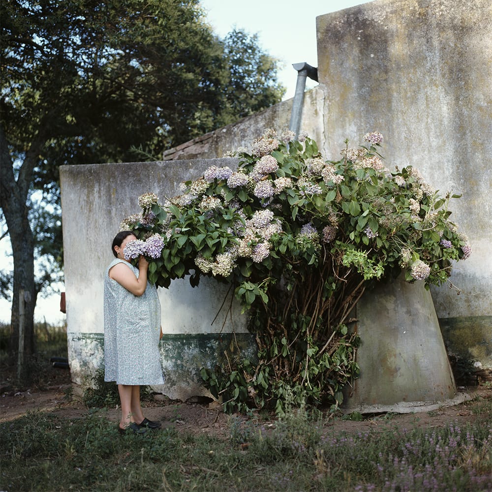 Alessandra Sanguinetti.jpeg