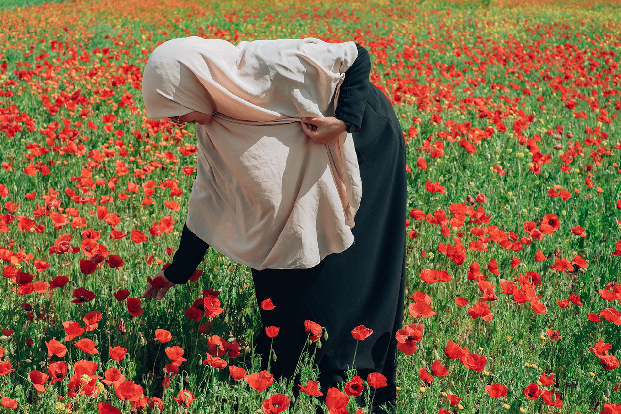 Artists for Morocco 6.jpg