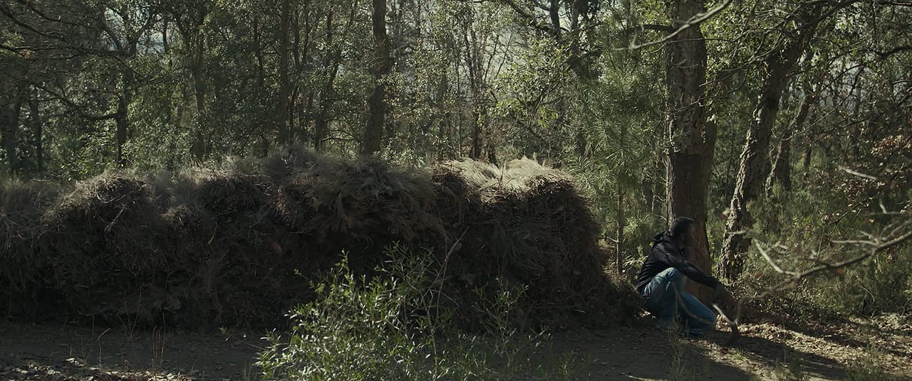 Sotobosque Still 9.jpg