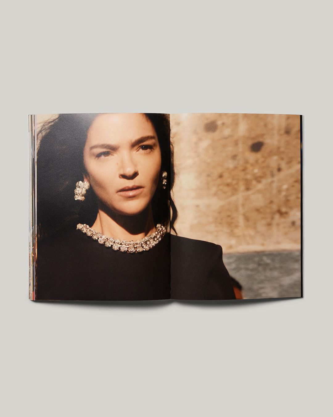 Bv S23 Book 10.jpg