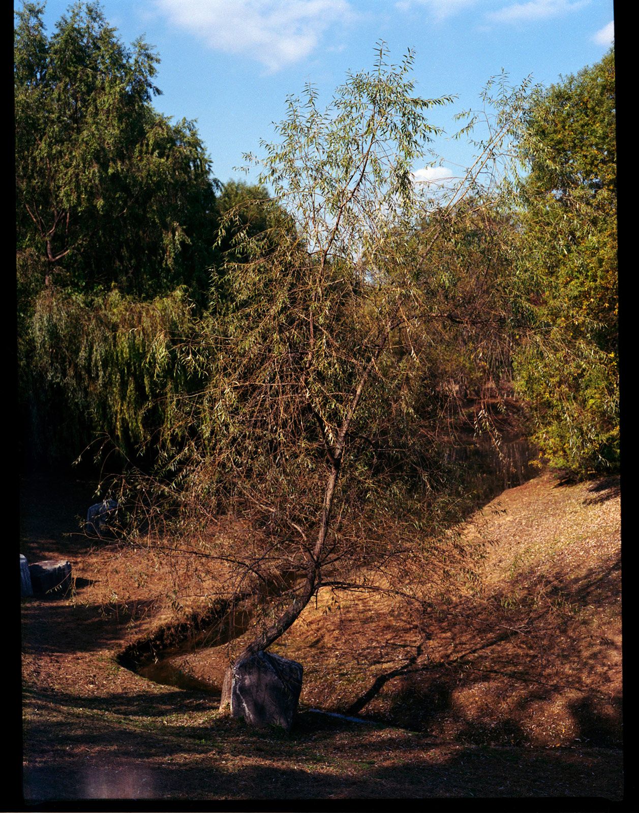 Jawook Park Metalmagazine 10.jpg
