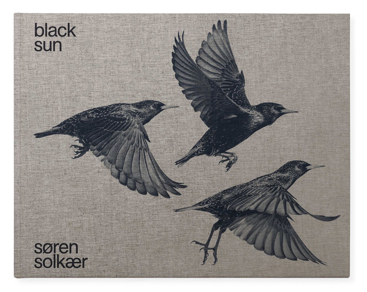 Sorensolkaer Metalmagazine 11.jpg