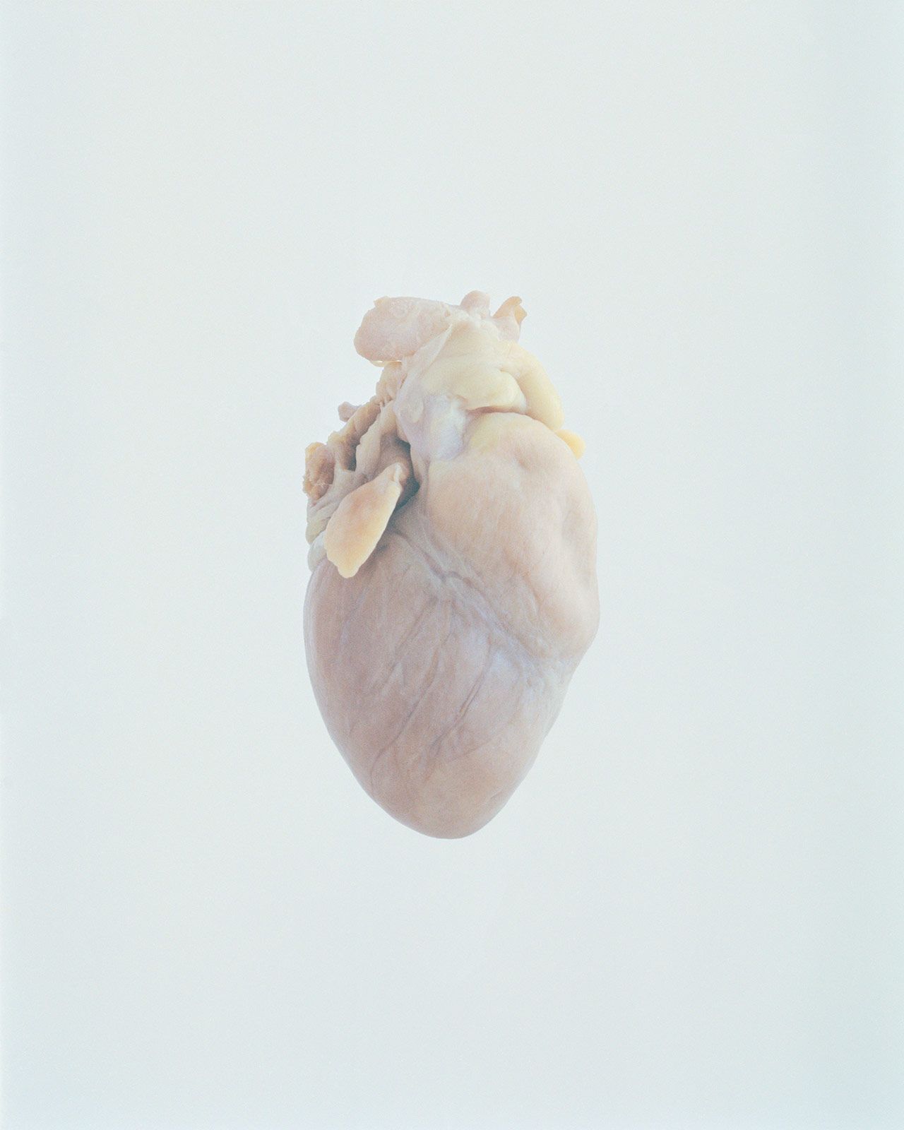 Ward Roberts Metalmagazine 25.jpg
