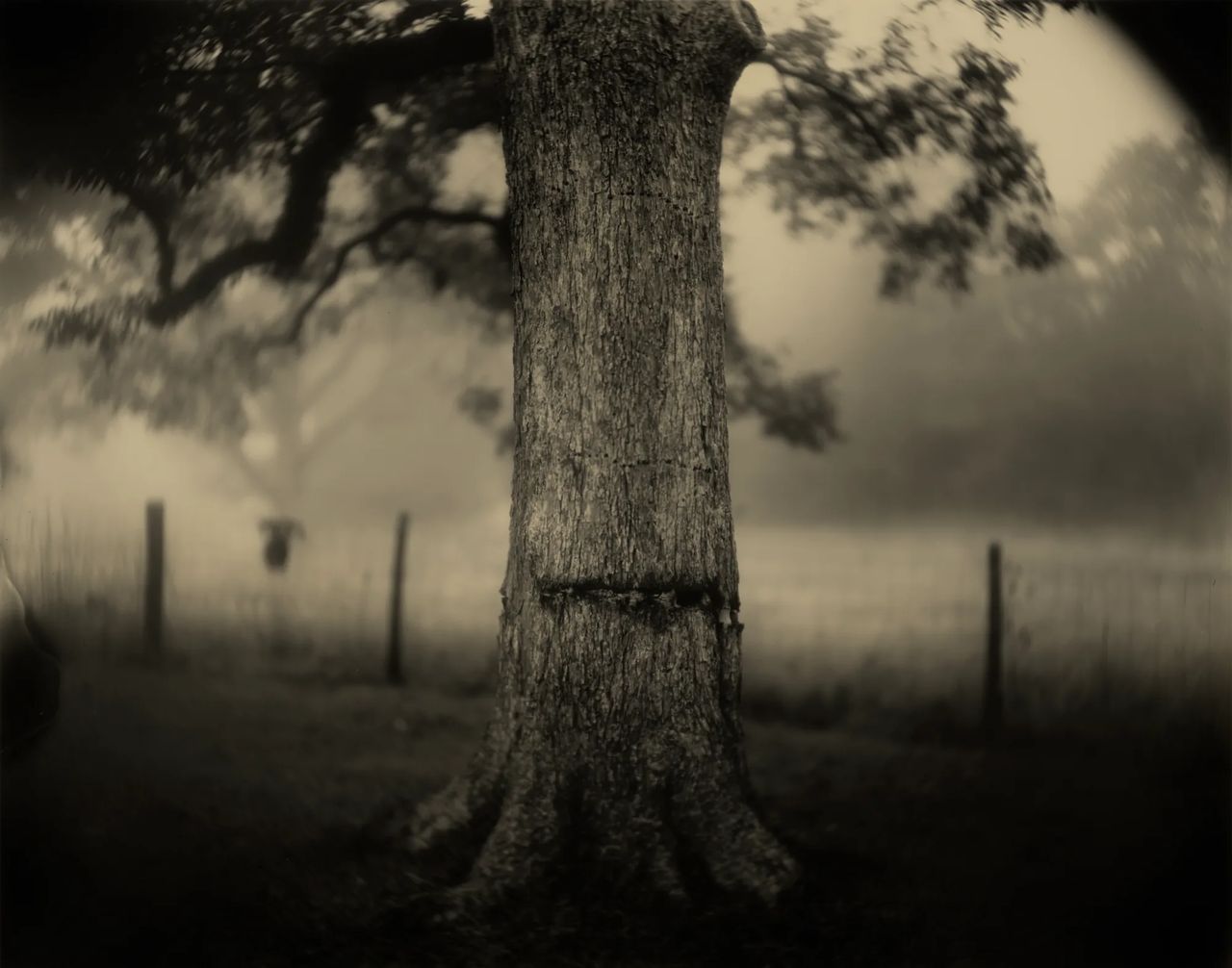 metal-sally-mann-04.webp