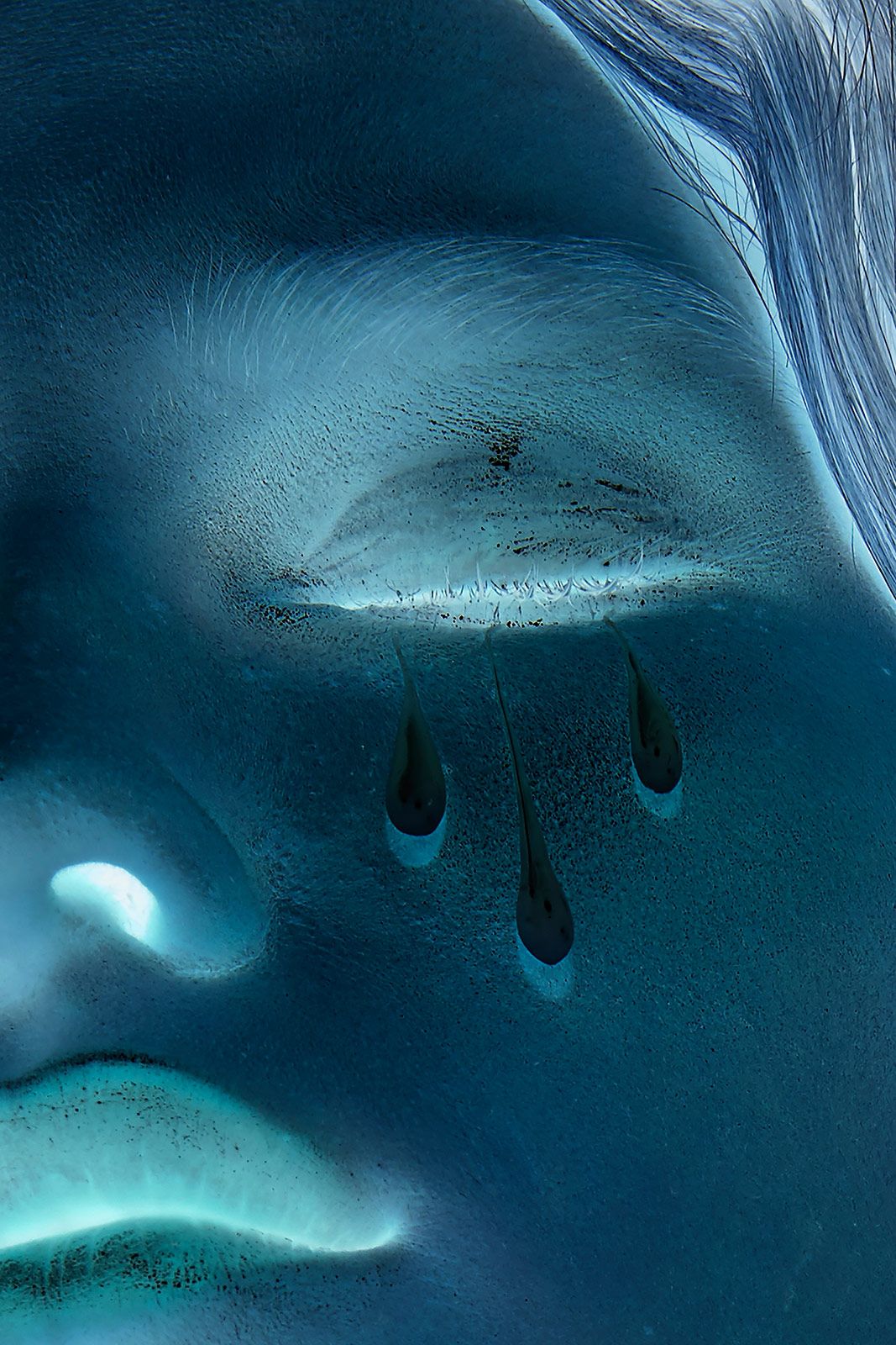  Romain Sellier Trueblue Metalmagazine 18.jpg