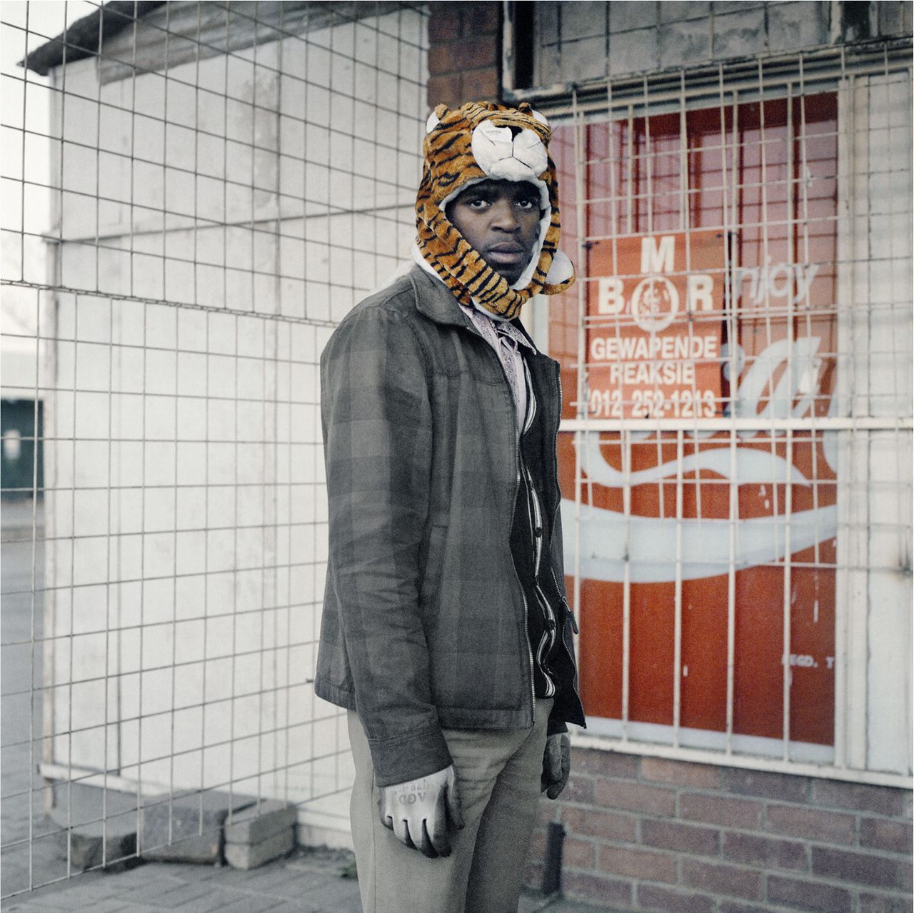 Thabiso Sekgala  Second Transition  Tiger  2012  Courtesy of the Artist and Goodman Gallery.jpg