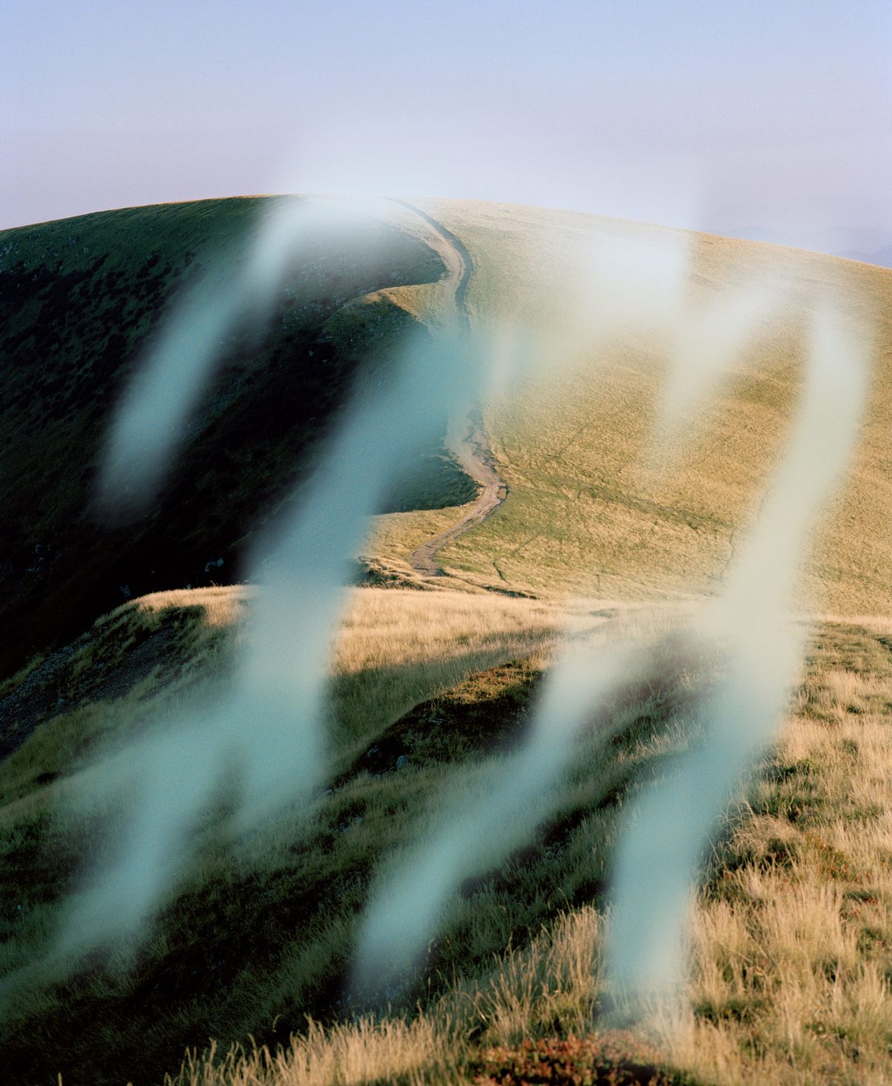 Synchrodogs Slightly Altered 29 Mountain Landscape.jpg