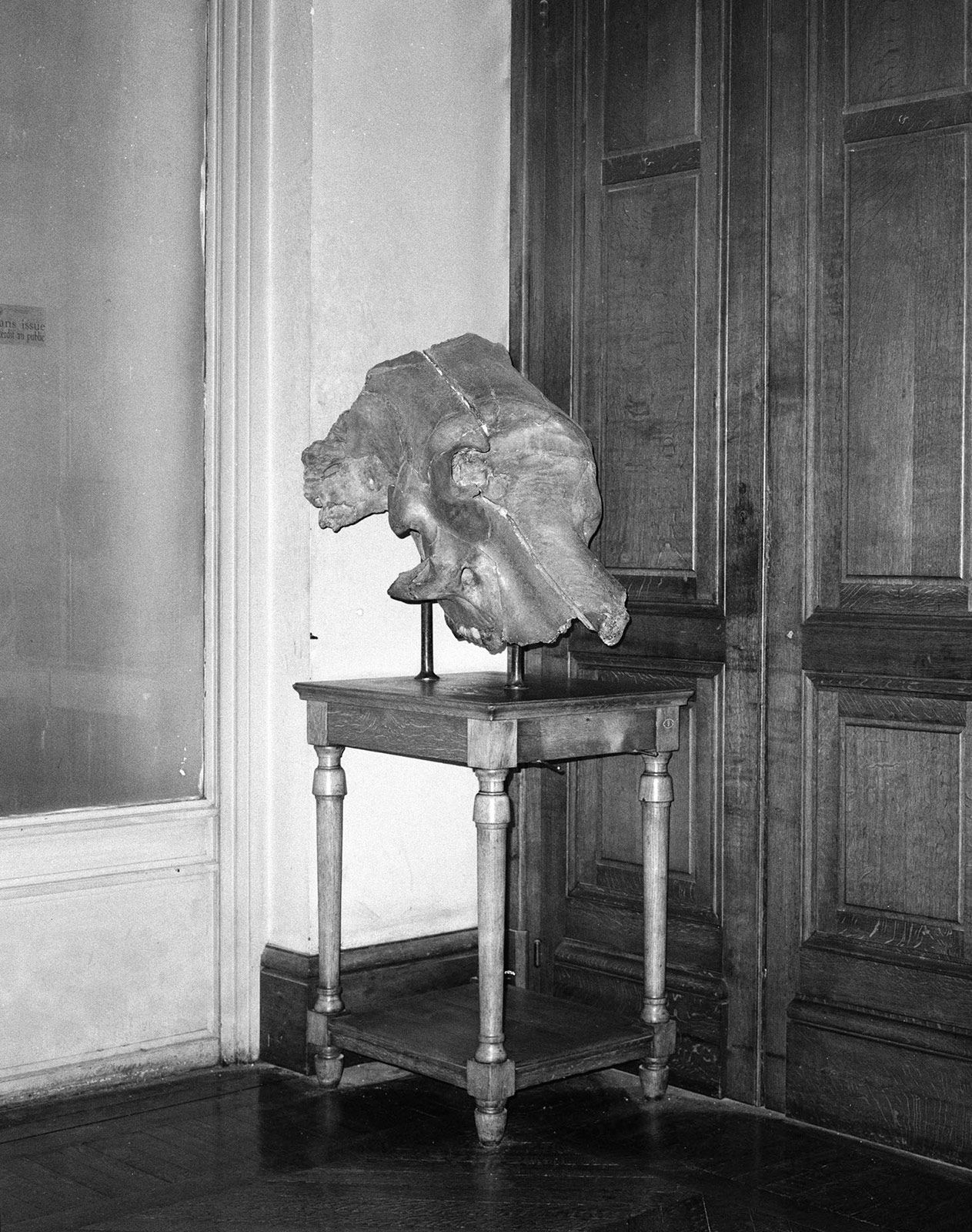 Tereza Zelenkova 01 the Absence of Myth 01 Dinosaur Bone Gallery of Paleontology Paris.jpg