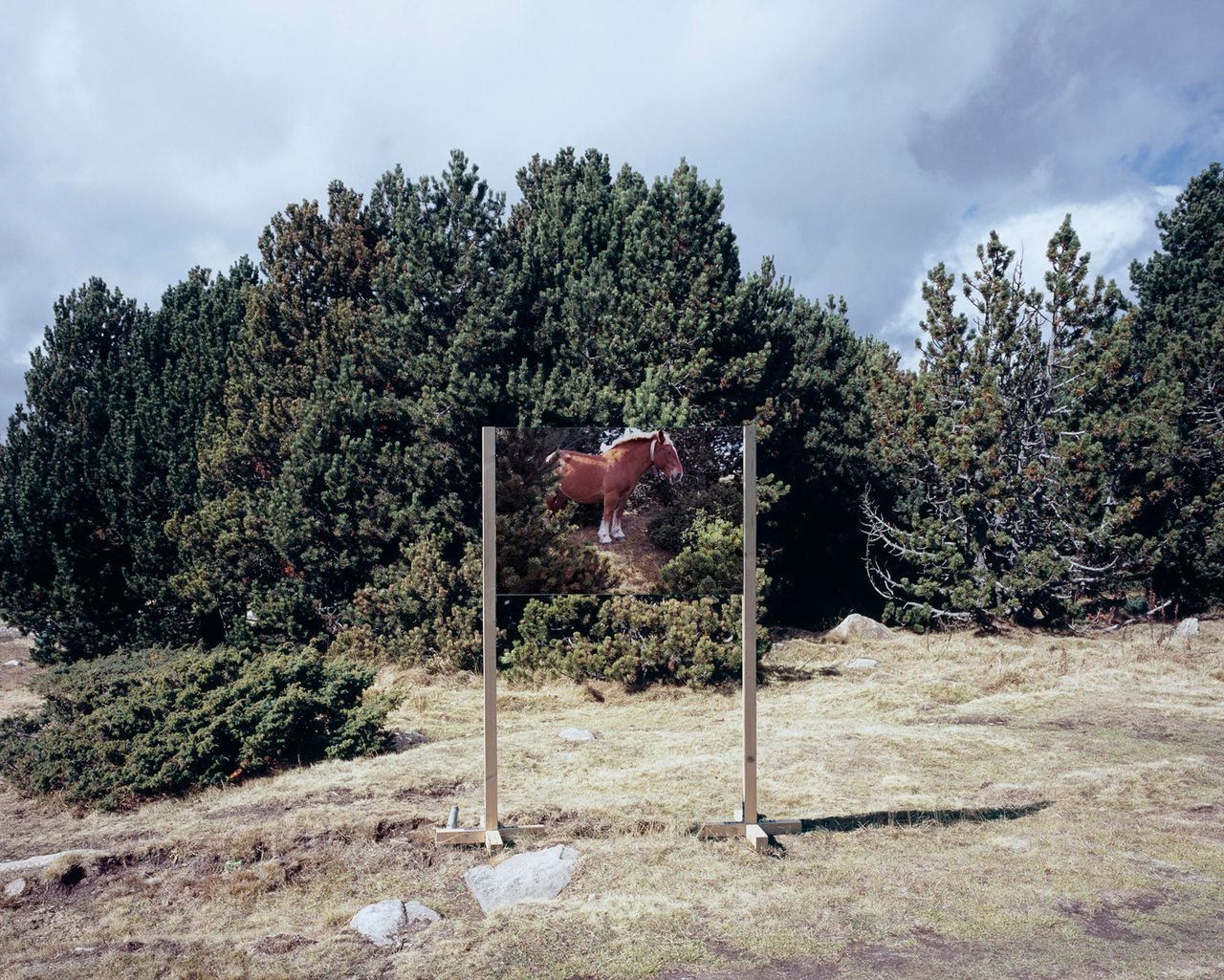 Guillaume Amat Metalmagazine 15.jpg