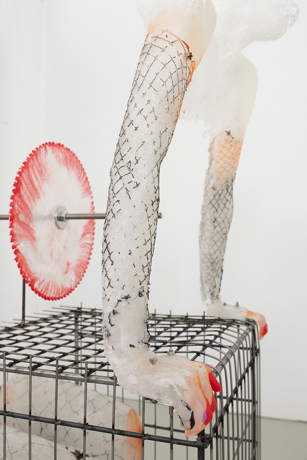 Rebecca Ackroyd