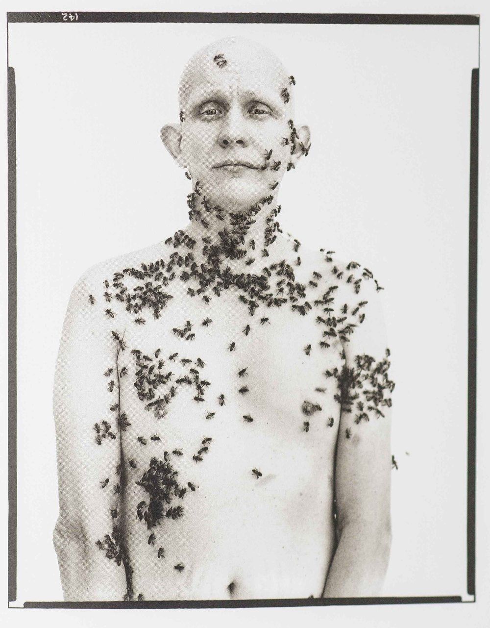 Ronald Fischer Beekeeper Davis California Richard Avedon 1981.jpg