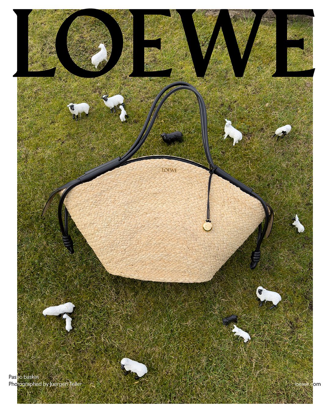 LOEWE_FW24_14.jpg