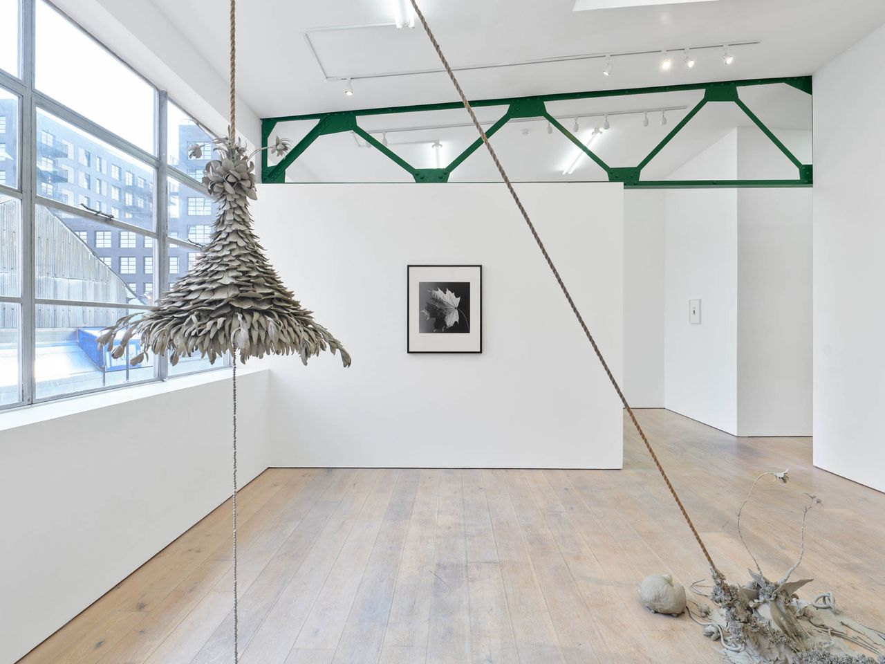DUST_TO_DUST_installation_18.jpg