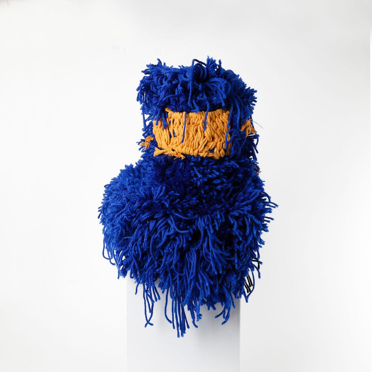 Trobat Mariadela Araujo Furry Vase Yellow.jpg