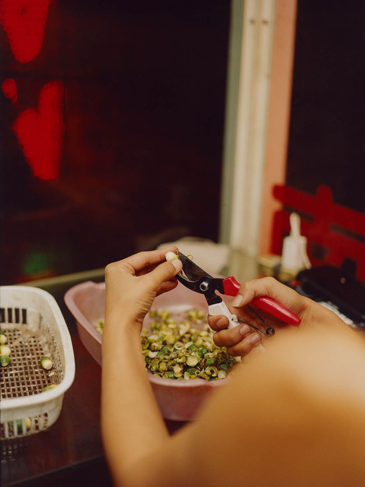 Constanze-Han_The-Betel-Nut-Beauties_10.jpg