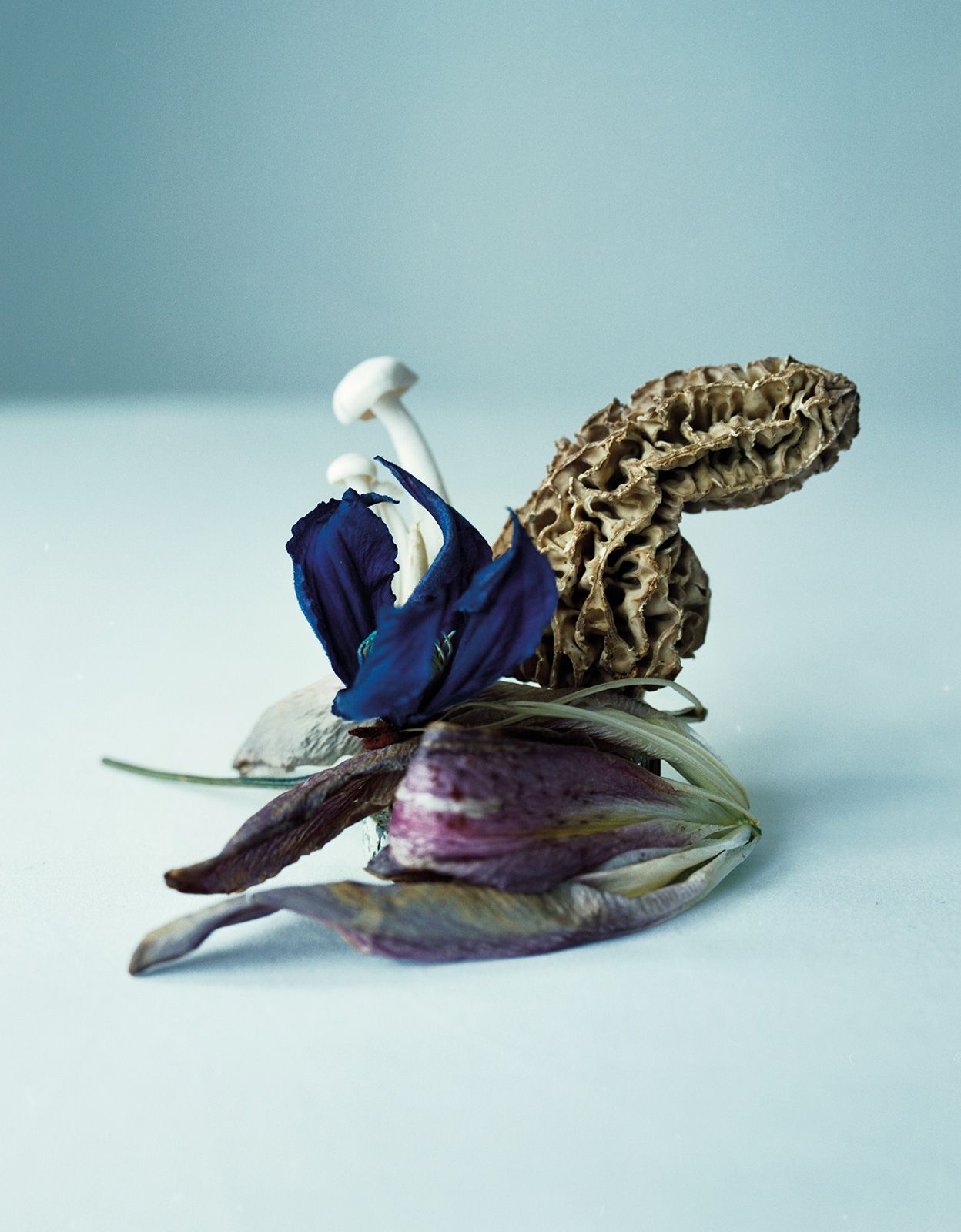 Teddy Iborra Metal Loewe Metalmagazine 8.jpg