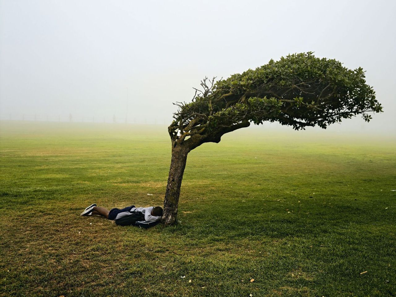 Pieter Hugo Museu Col Berardo Metalmagazine 7.jpg